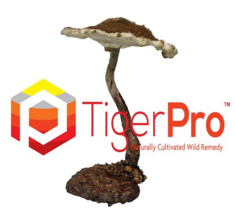 TigerPro（タイガーミルクマッシュルーム）